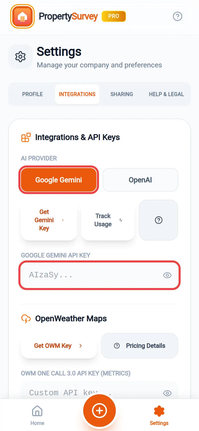 The Google Gemini button and the Google Gemini API Key box, both ringed in red