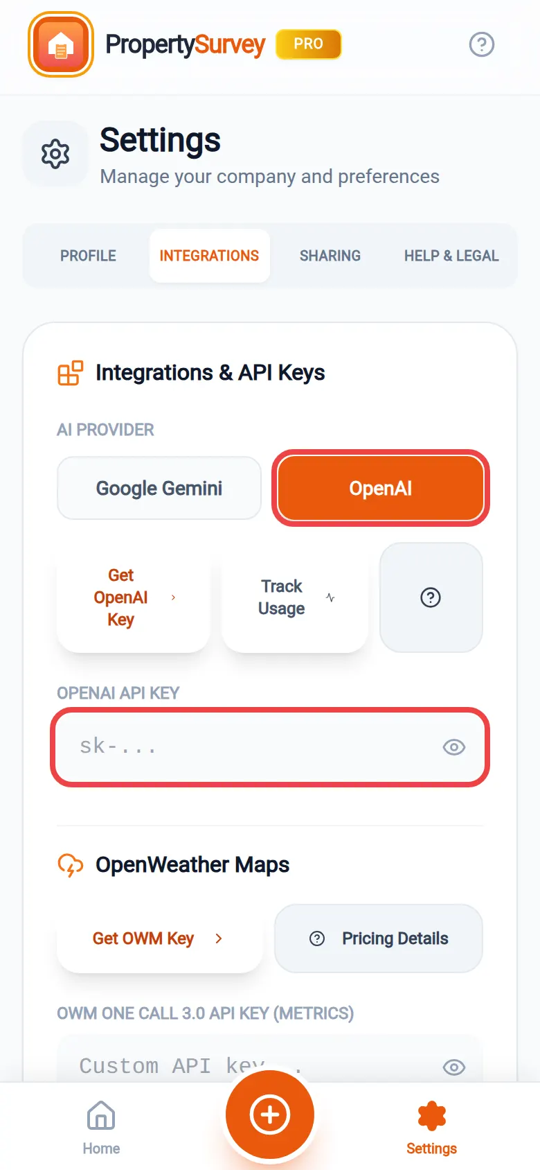 The OpenAI button and the OpenAI API Key box, both ringed in red